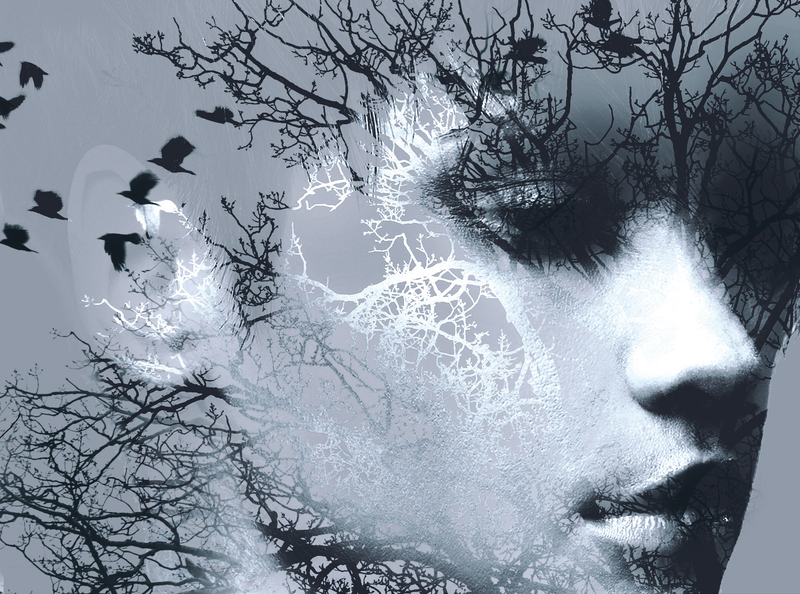 Illustration for article titled All the Science Fiction and Fantasy Books You Can't Miss in February!